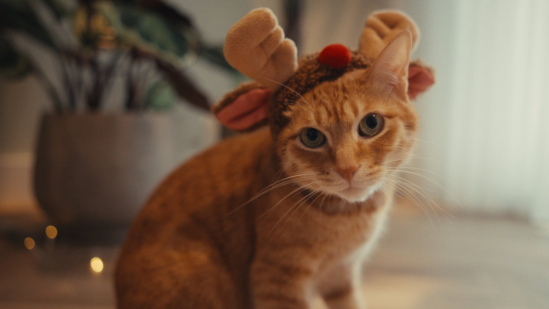 A New Chapter: Beyond the Shop Floor