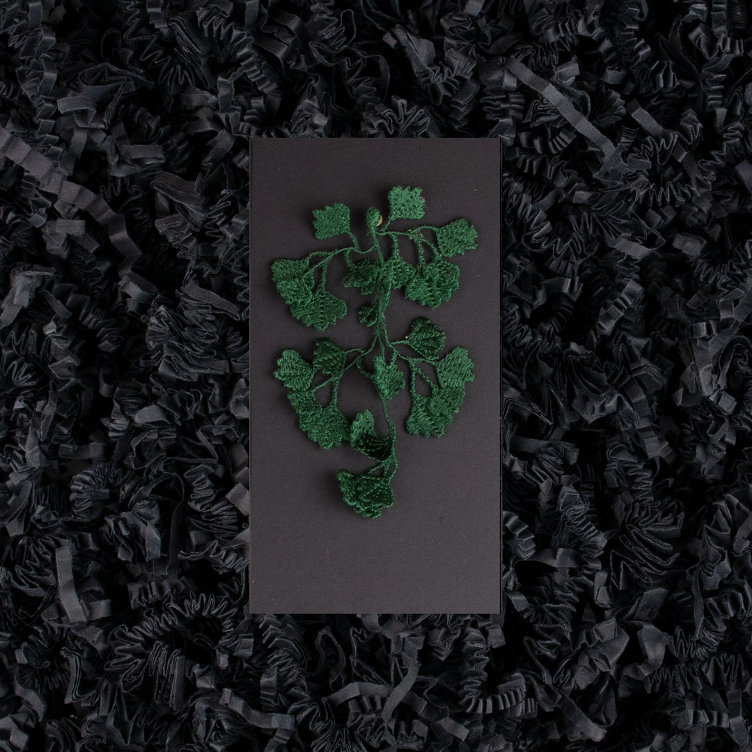 Botanopia Green Maidenhair fern embroidery brooch placed on a black gift box with a black backdrop.