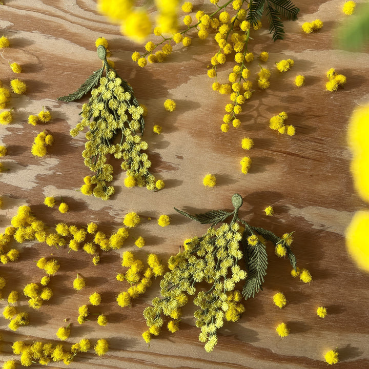 Botanopia mimosa embroidery brooch displayed with a real mimosa plant beside it.