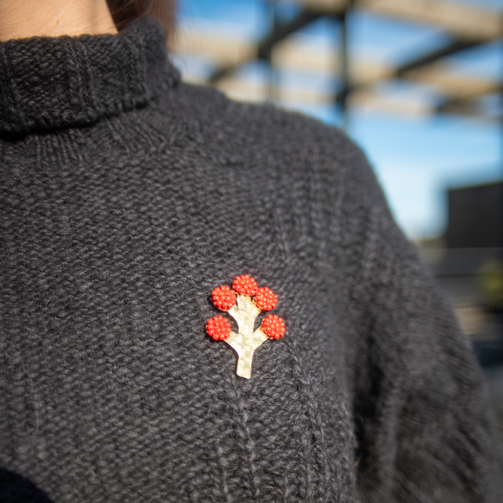 Person wearing a dark blue sweater with a red floral brooch on a blurred outdoor background