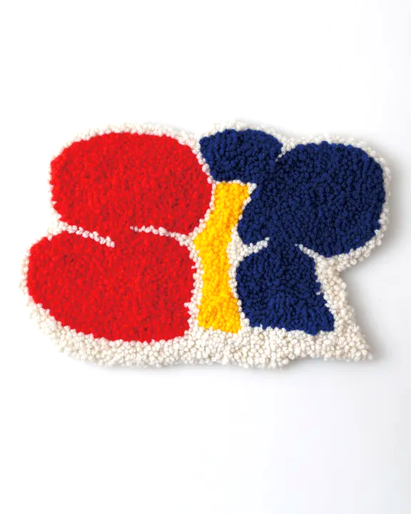 Punch Needle DIY Rug Kit